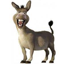 Donkey